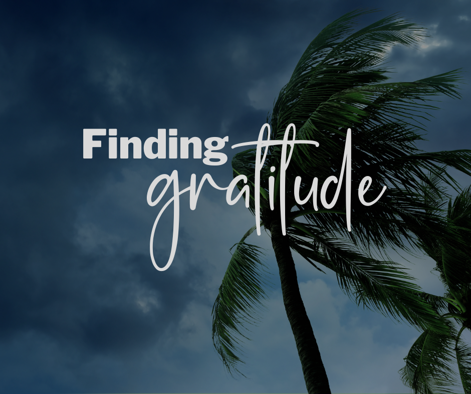 Top 5 Ways To Feel Gratitude In Challenging Times Tami Nicholson